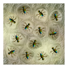 Abstract microscopic organisms in cellular matrix 