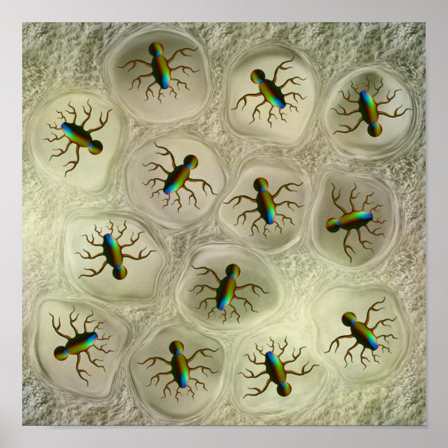 Abstract microscopic organisms in cellular matrix  poster (Front)