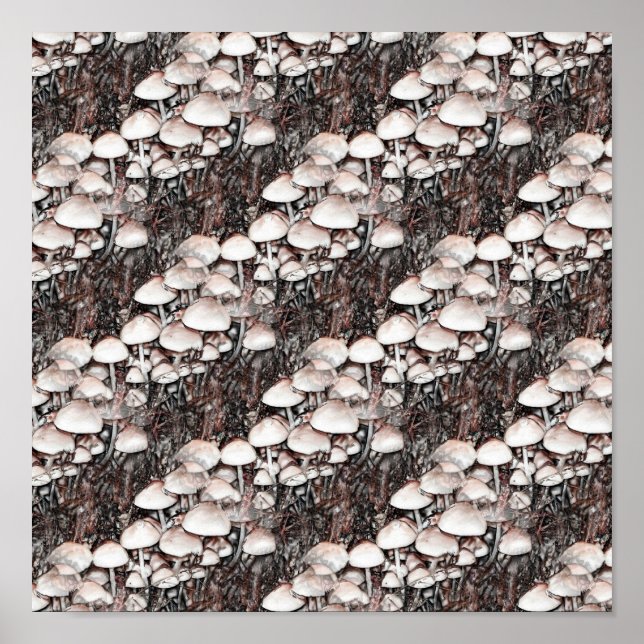 Abstract Mushrooms Fun Nature Art Poster (Front)