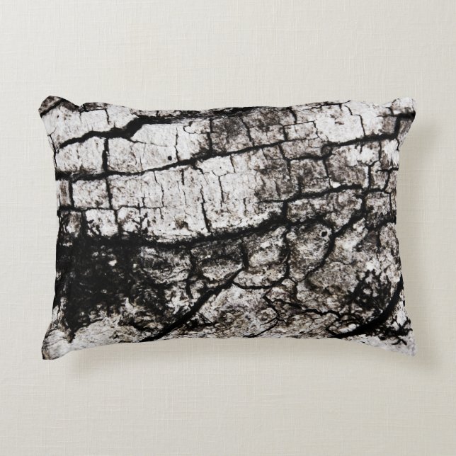 Abstract Nature - Craquelure 2 Accent Pillow (Front)