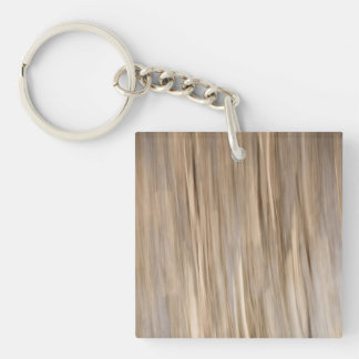 Abstract of Autumn Keychain