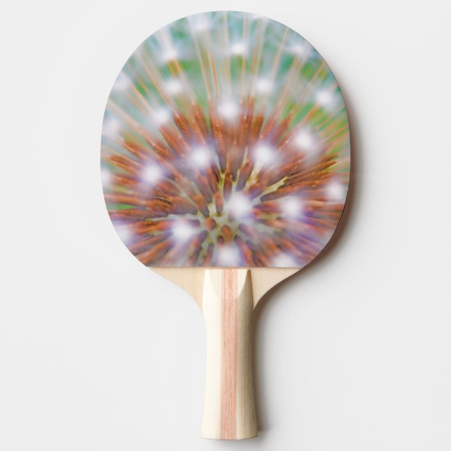 Abstract of dandelion seed head ping pong paddle (Front)