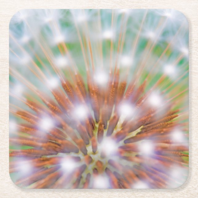 Abstract of dandelion seed head square paper coaster (Front)