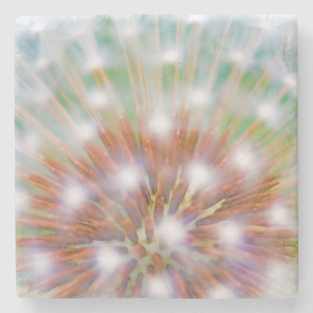 Abstract of dandelion seed head stone coaster (Front)