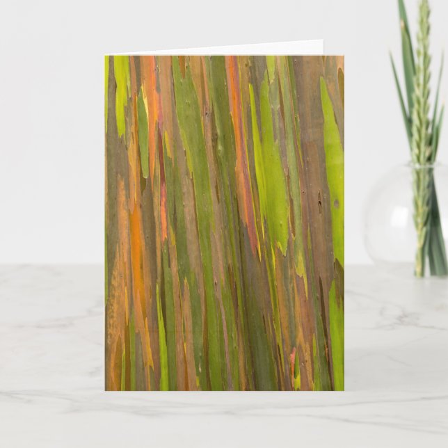 Abstract Of Eucalyptus Bark Card (Front)