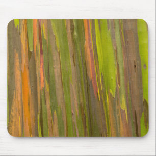 Abstract Of Eucalyptus Bark Mouse Pad