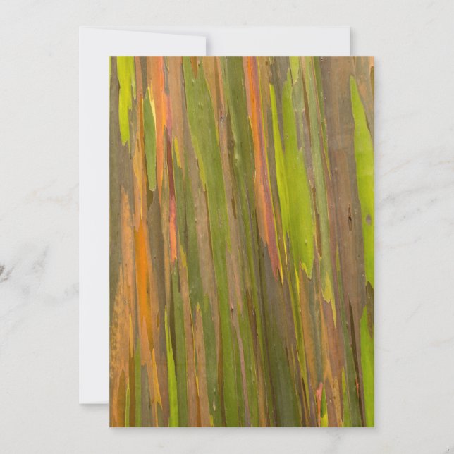 Abstract Of Eucalyptus Bark Thank You Card (Front)