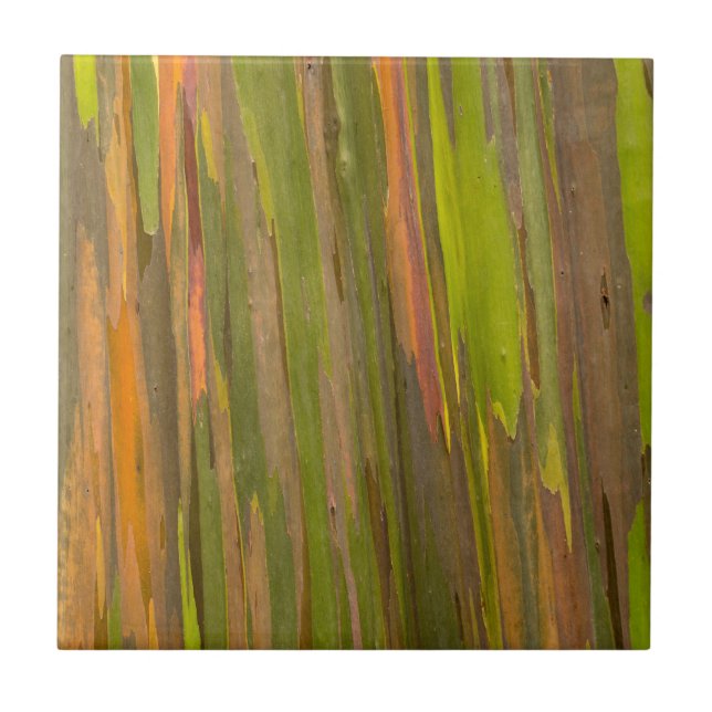 Abstract Of Eucalyptus Bark Tile (Front)