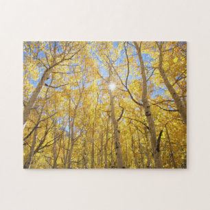 Abstract of Gilia Amidst Wildflowers   California Jigsaw Puzzle