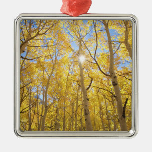 Abstract of Gilia Amidst Wildflowers California Metal Ornament