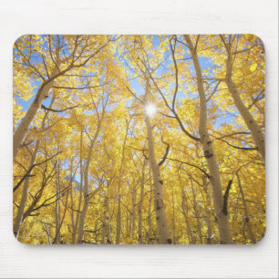 Abstract of Gilia Amidst Wildflowers   California Mouse Pad