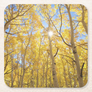 Abstract of Gilia Amidst Wildflowers   California Square Paper Coaster