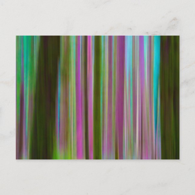 Abstract of Hoh Rain Forest at Dusk | Washington Postcard (Front)