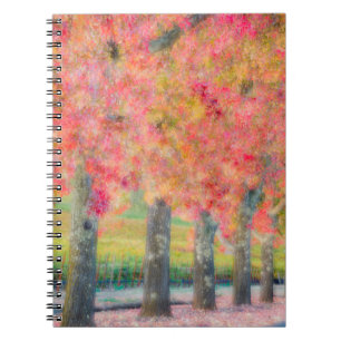 Abstract of Napa Valley trees Notebook