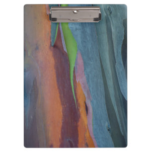 Abstract Of Rainbow Gum Tree Clipboard