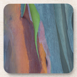 Abstract Of Rainbow Gum Tree Coaster