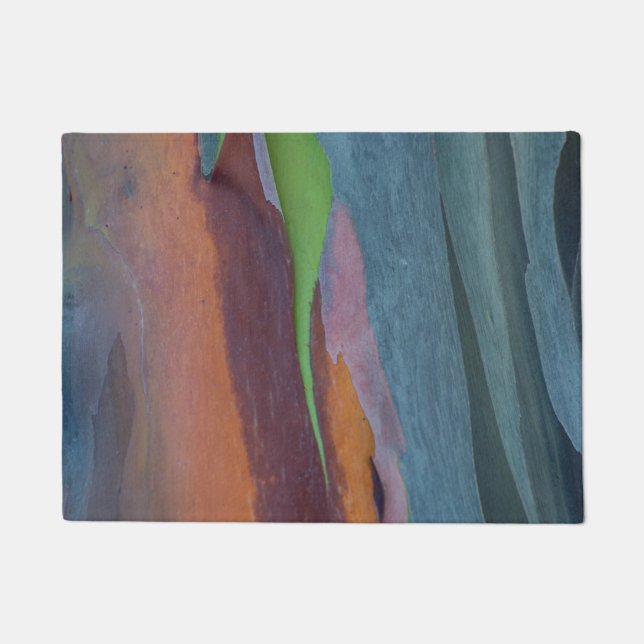 Abstract Of Rainbow Gum Tree Doormat (Front)