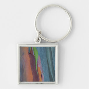Abstract Of Rainbow Gum Tree Keychain