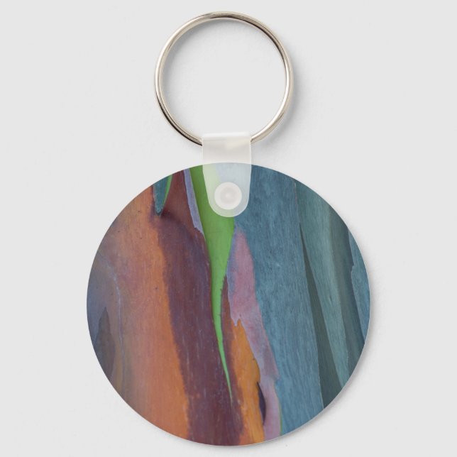 Abstract Of Rainbow Gum Tree Keychain (Front)
