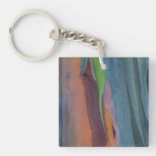 Abstract Of Rainbow Gum Tree Keychain