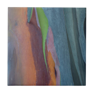 Abstract Of Rainbow Gum Tree Tile