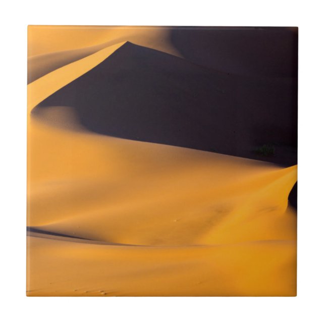 Abstract of sand dune tile (Front)