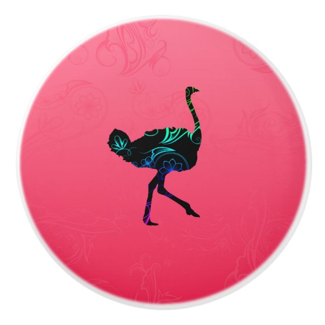 Abstract Ostrich Ceramic Knob (Front)
