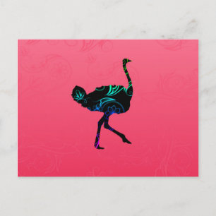 Abstract Ostrich  Postcard