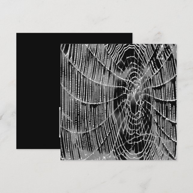 Abstract Painting Of A Grey White Cobweb On Black Invitation (Front/Back)