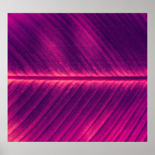Abstract Palm Leaf: Toned Vein Poster