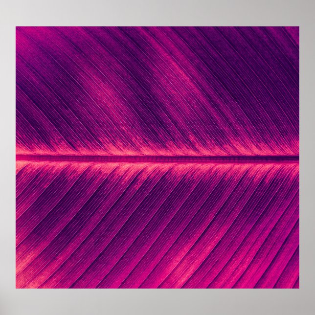 Abstract Palm Leaf: Toned Vein Poster (Front)