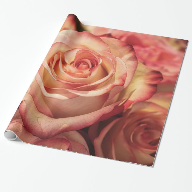 Abstract Peach Colour Roses Garden Elegant Floral Wrapping Paper (Unrolled)
