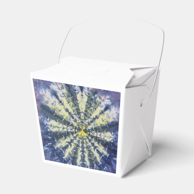 Abstract Peacock Feather Food Box (Front Side)