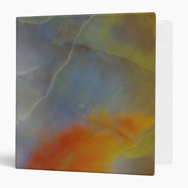 Abstract Petrified Wood close-up Binder (Front/Inside)