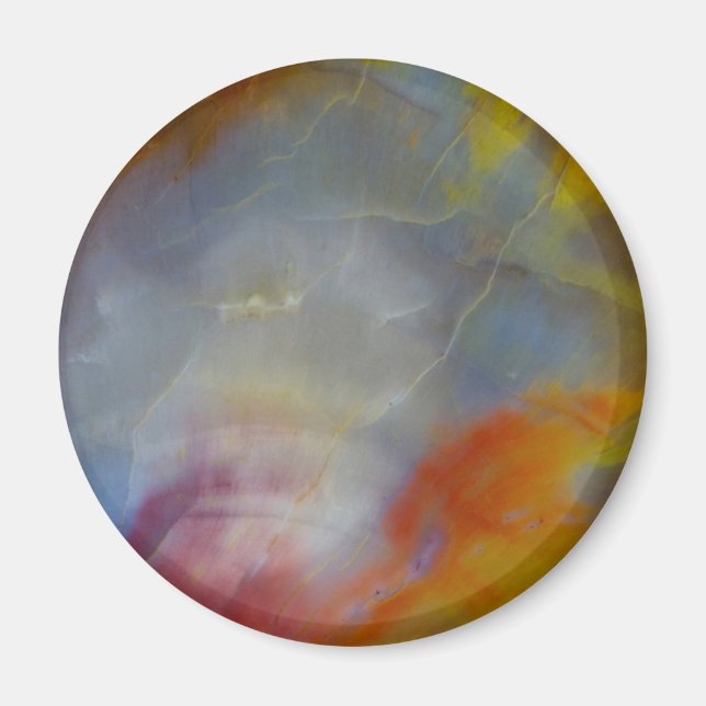 Abstract Petrified Wood close-up Magnet (Front)