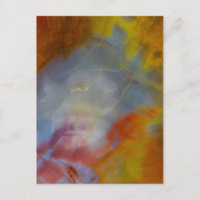 Abstract Petrified Wood close-up