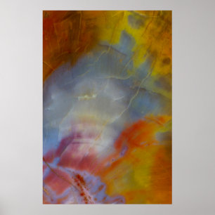Abstract Petrified Wood close-up Poster