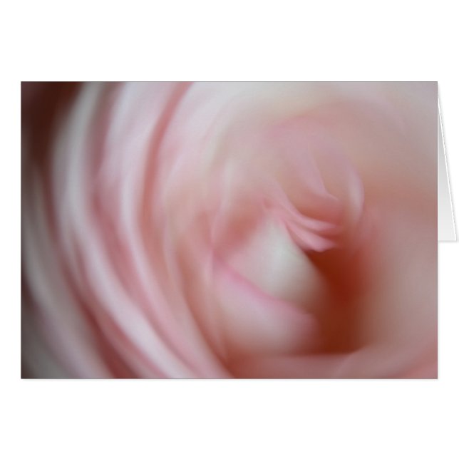 Abstract Pink Rose (Front Horizontal)