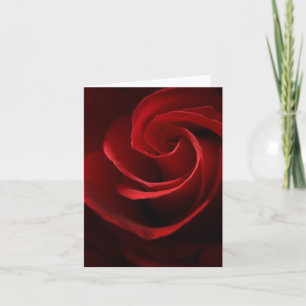 Abstract Red Rose Note Cards