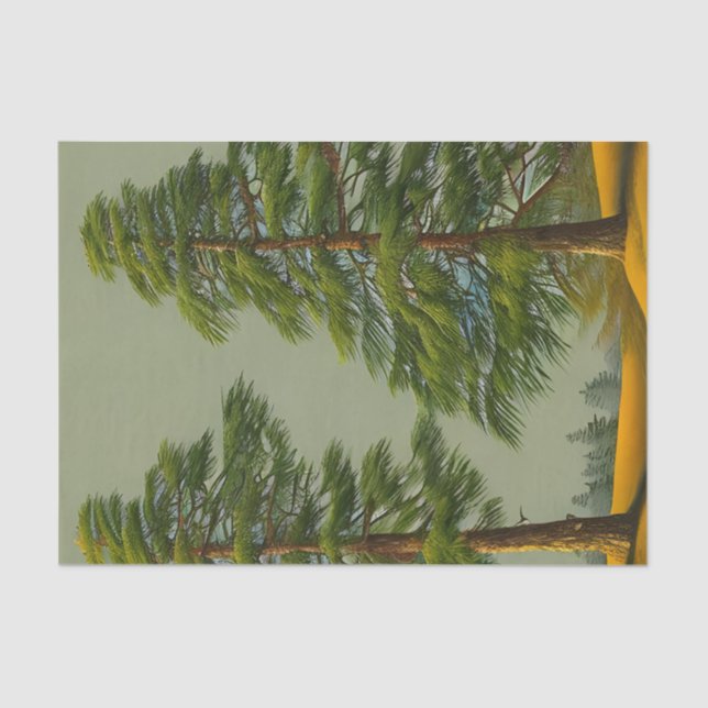 Abstract Rustic Northern Pine Tissue Paper (Front)