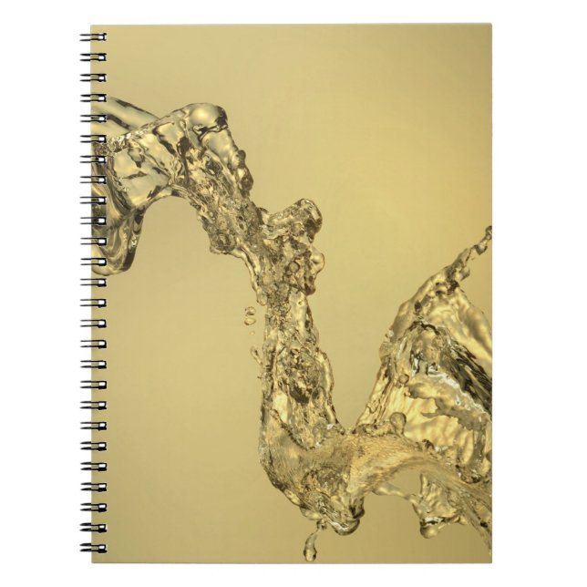 Abstract Shape Formed by Splashing Water Notebook (Front)