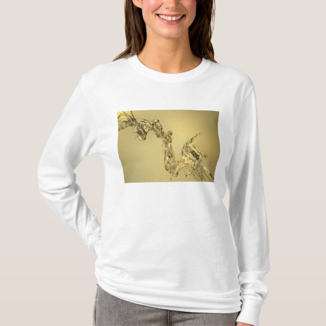 Abstract Shape Formed by Splashing Water T-Shirt (Front)