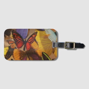 abstract spring purple orange burgundy butterfly luggage tag