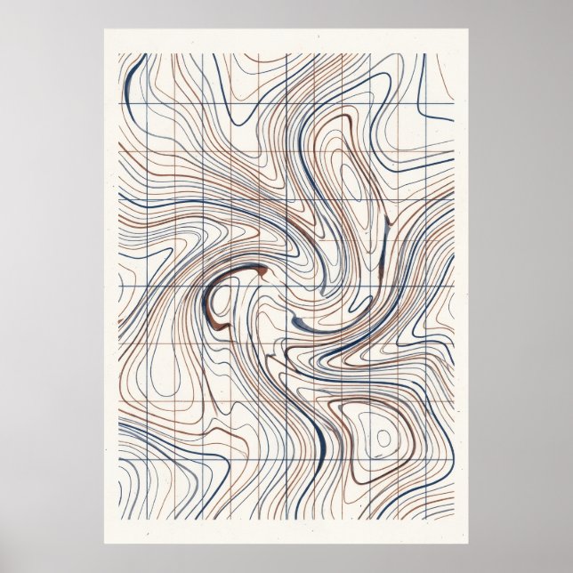 Abstract Topographic Line Art Poster (Front)