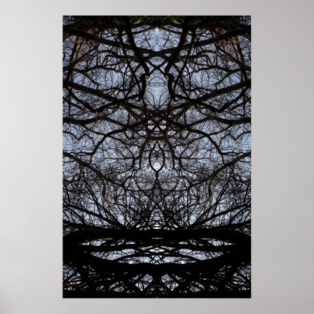 Abstract tree branches pattern poster (Front)
