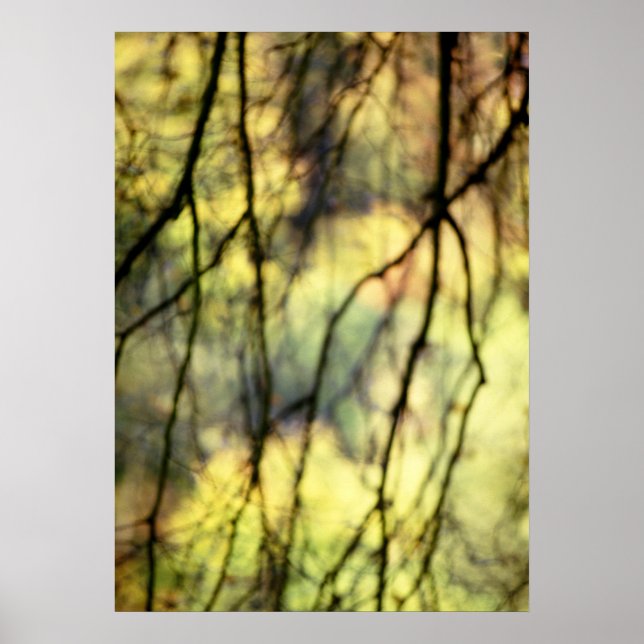 Abstract Trees Poster (Front)
