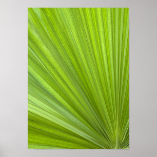 Abstract Tropical Green Palm Frond Poster
