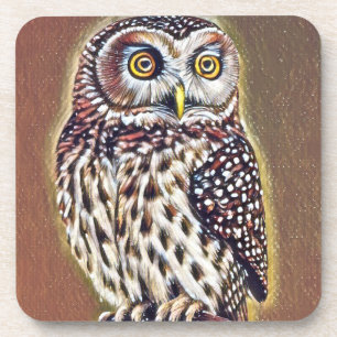 Abstract Wilderness Forest Owl Art Coaster