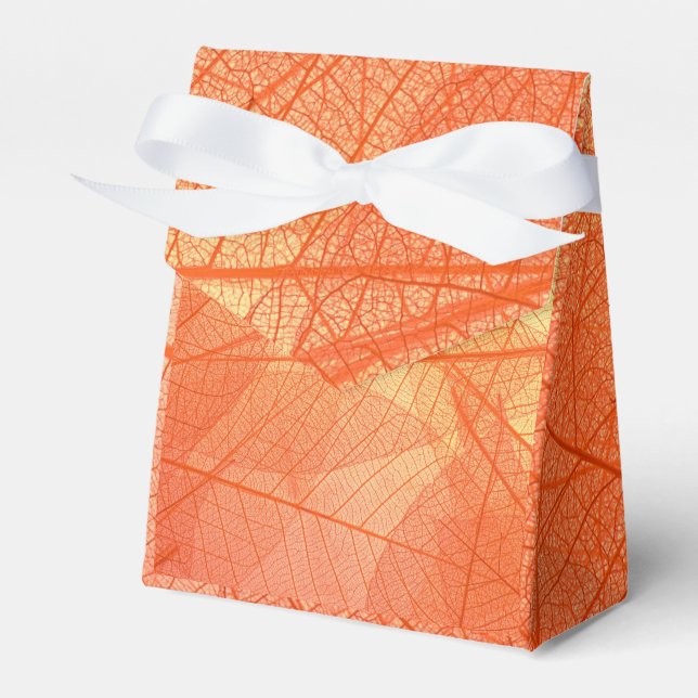    Abstract Wraps 6 Favor Box (Front Side)