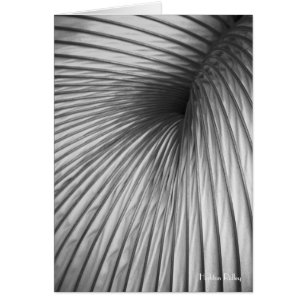 Abstraction Extraction blank notelet / card